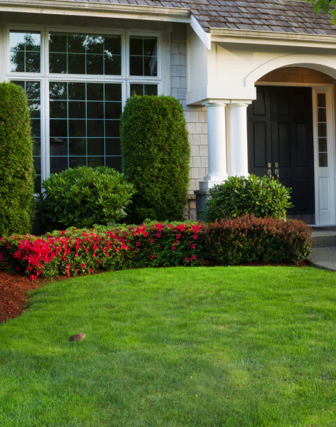 Landscaping (1)