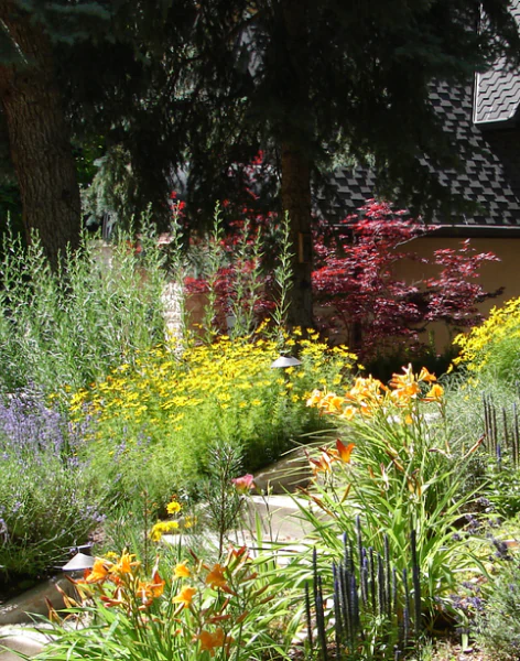 Xeriscaping (1)
